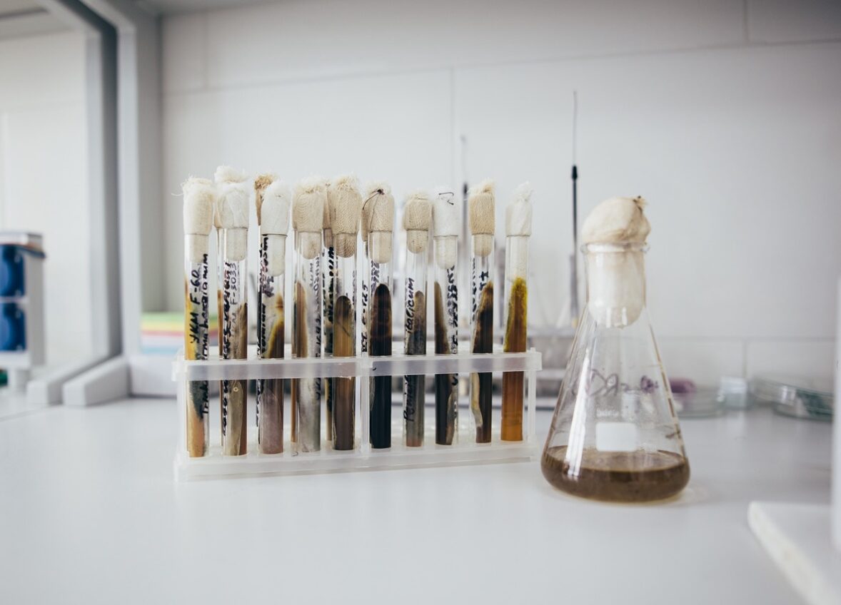 Навіщо потрібен аналіз мікробіологічних добрив? 