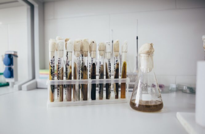 Відбір проб ґрунту для хімічного аналізу: методика, правила та підготовка зразків