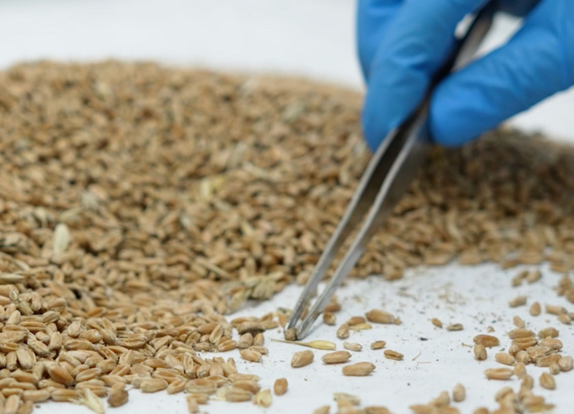 Біологічний метод