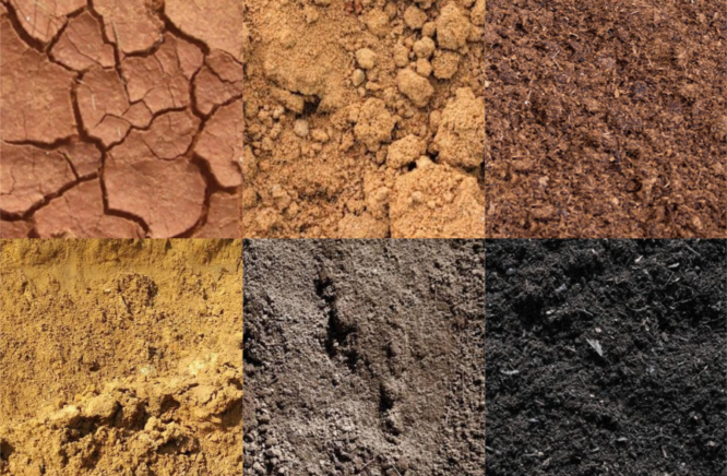 Види і типи ґрунтів: основні характеристики та властивості