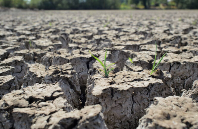 Soil degradation: causes, consequences and mitigation methods