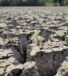 Soil degradation: causes, consequences and mitigation methods