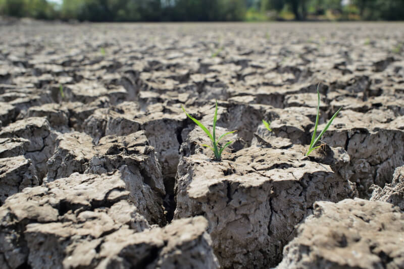 Soil degradation: causes, consequences and mitigation methods