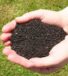 What Are Humates: Types, Principle of Action, and Effect on Plants